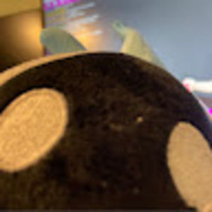 Meet your Posher, Reese